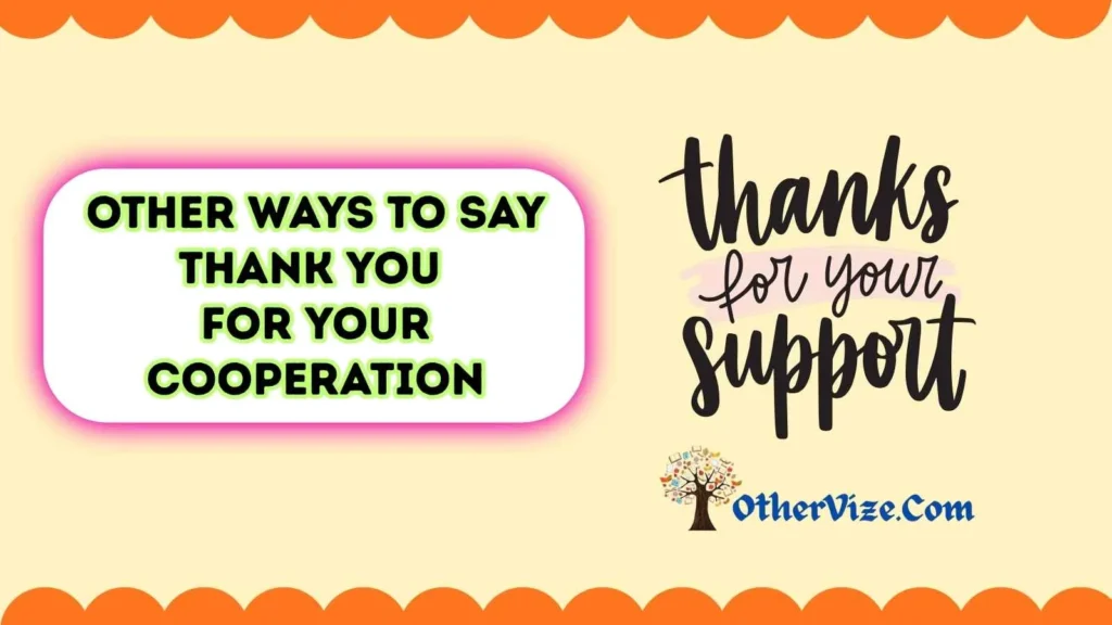 Thank You for Your Cooperation and Support