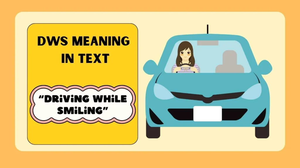 dws meaning in text