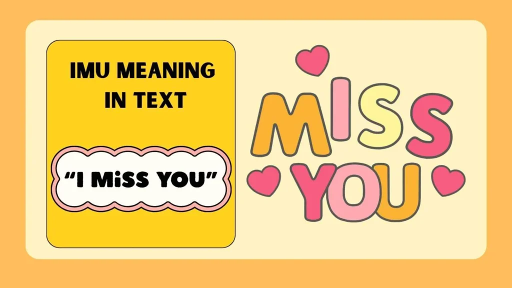 imu meaning in text