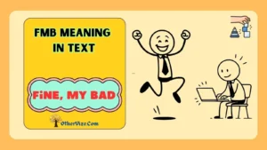 fmb meaning in text