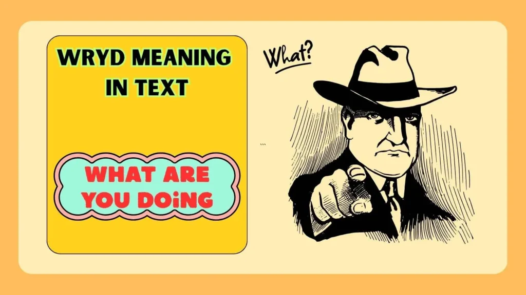 wryd meaning in text